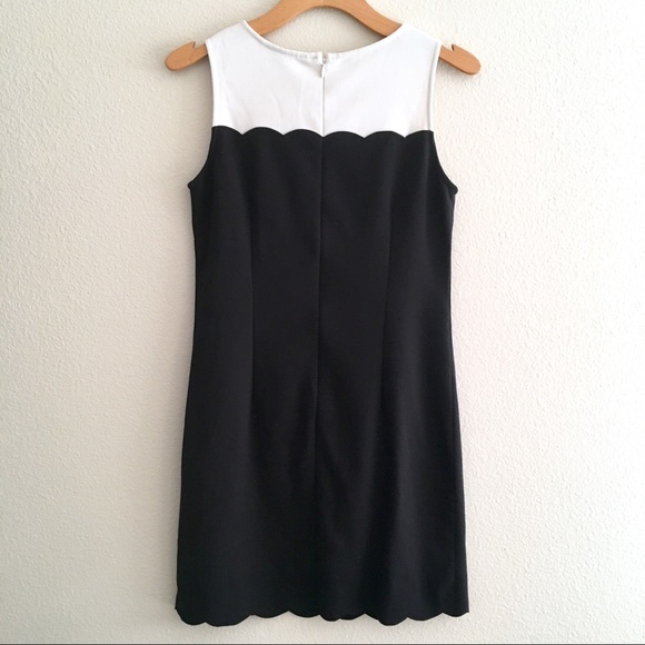 Loft Shift Dress Sz 2 -Black cream, scallop detail - Picture 2 of 8